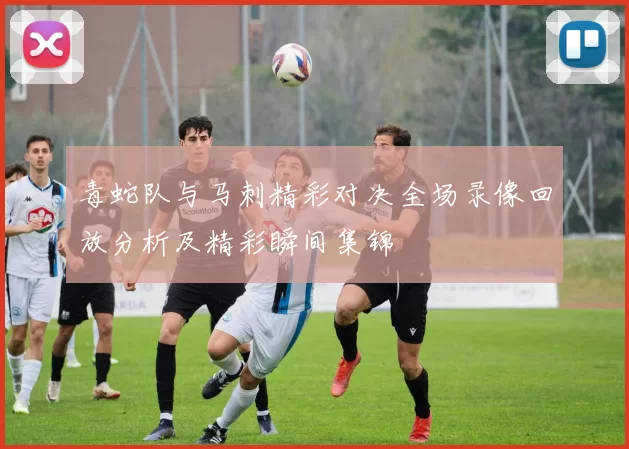 毒蛇队与马刺精彩对决全场录像回放分析及精彩瞬间集锦