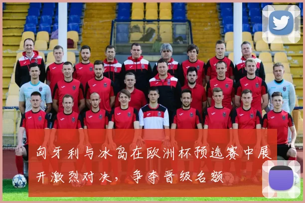 匈牙利与冰岛在欧洲杯预选赛中展开激烈对决，争夺晋级名额