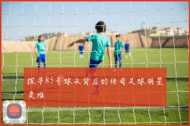 探寻85号球衣背后的传奇足球明星是谁