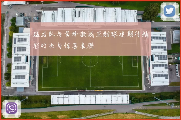 猛龙队与黄蜂激战正酣球迷期待精彩对决与惊喜表现