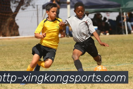 星空体育发展历程